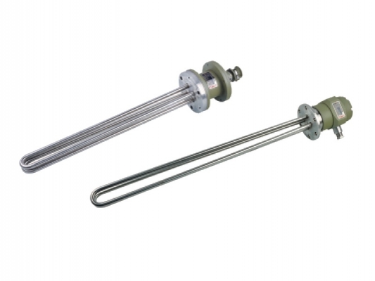 BDR series Explosion-proof electrical heater